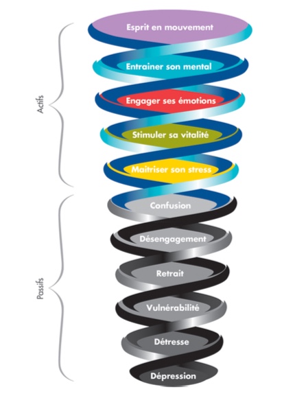 SPIRALE ACTIFS PASSIFS